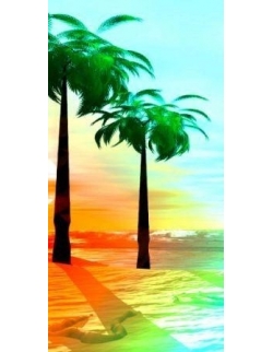 Beach Towel - Palm Beach